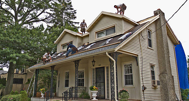 Best Roofing Contractor Near Me  in Viola, IL