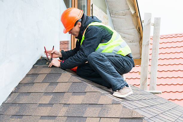 Best Roof Waterproofing Services  in Viola, IL